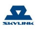 Логотип SKYLINK 